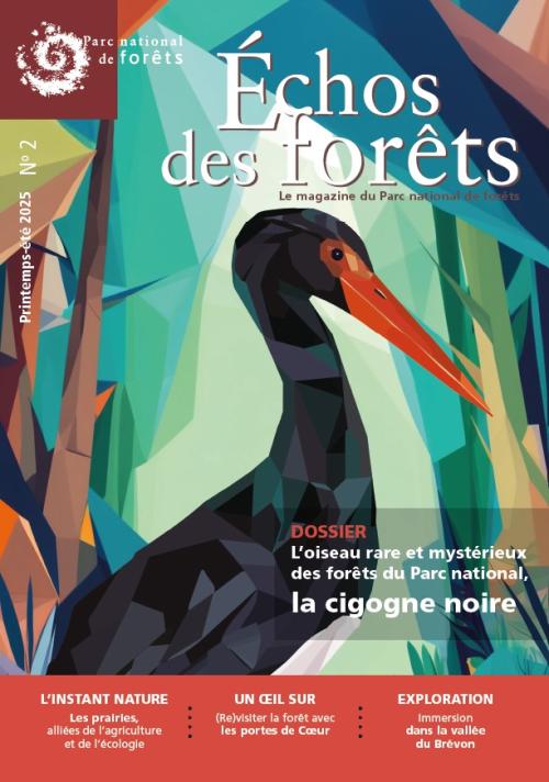 Echos des forêts #2
