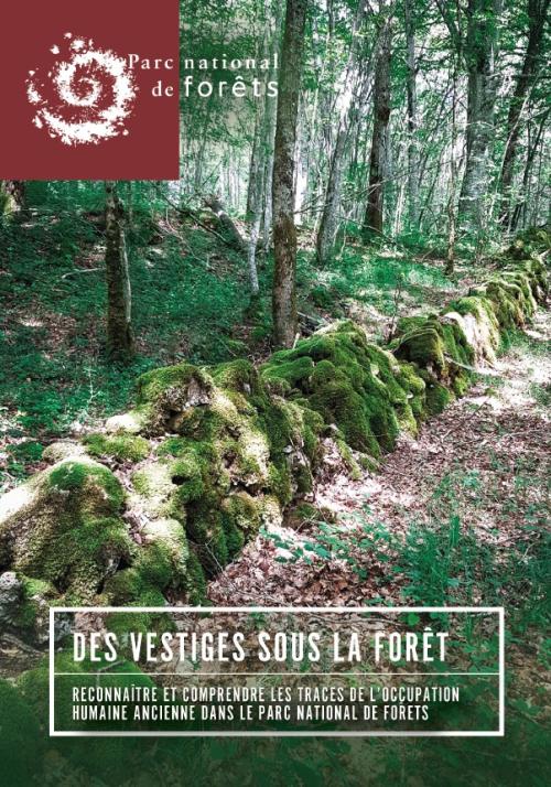 Guide - des vestiges sous la forêt
