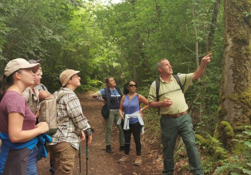 forest discovery tour