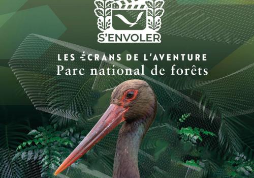 S'envoler