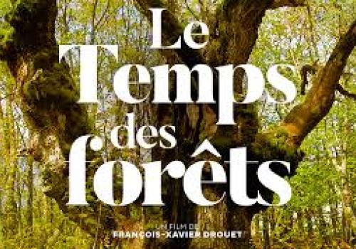 Le temps des forêts