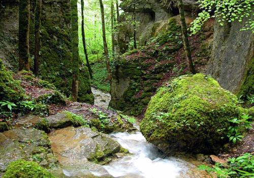 Jean-Francois Feutriez