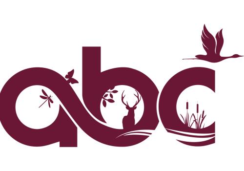 logo_abc_quadri_abc.jpg