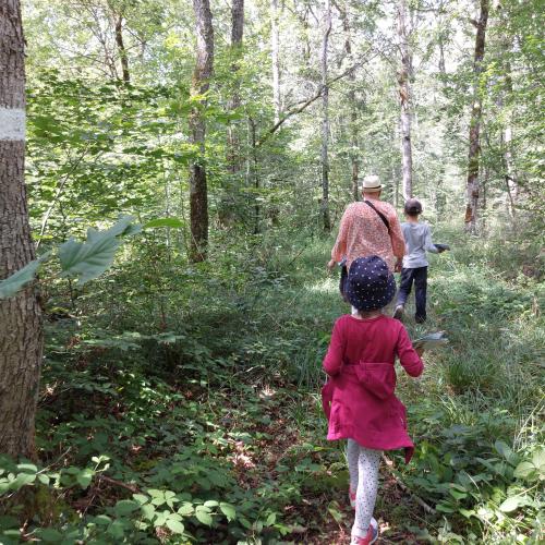 Promenade en famille en forêt