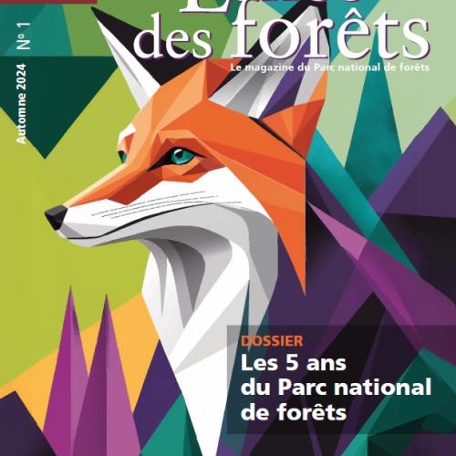 échos des forêts