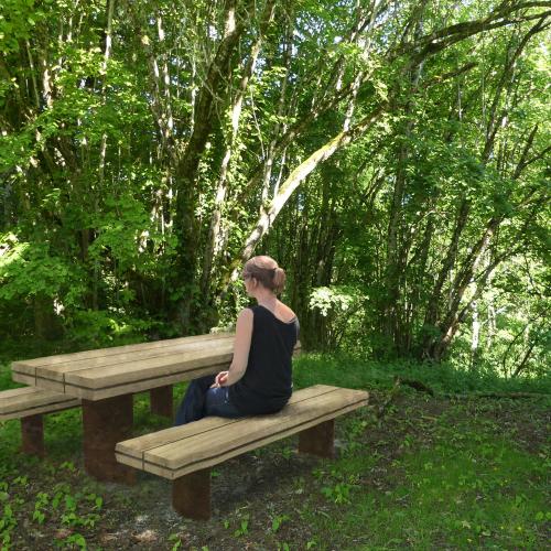 insertion table picnic