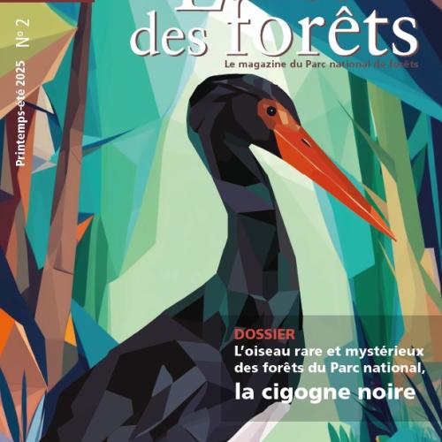 Echos des forêts #2