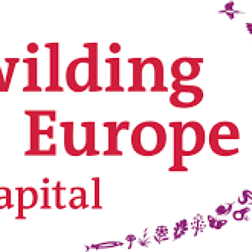 rewilding europe