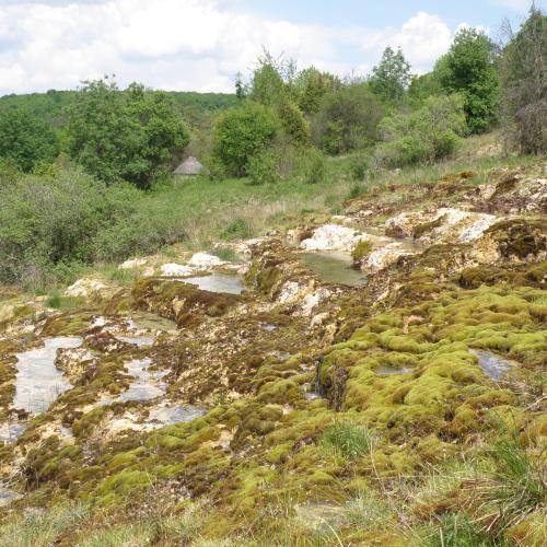 Marais de Saint-German-le-Rocheux
