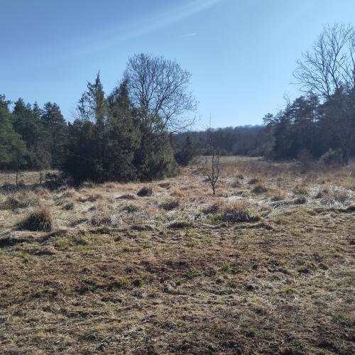 Pelouse_Sources_Suize