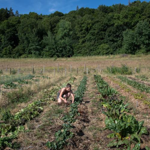 Photo : Céline Lecomte - OFB