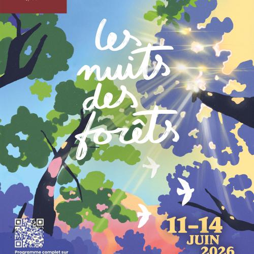 Les nuits des forêts