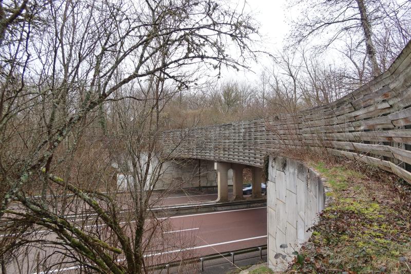 passage à faune