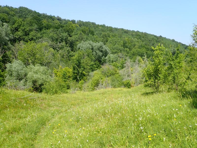 Pelouse à Saint-Germain-le-Rocheux ©Guillaume Doucet