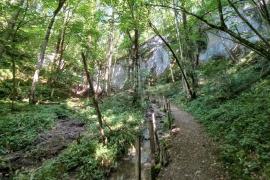 Photo : Clara Pellegrini / Gorges de la Vingeanne