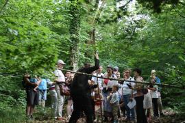 Balade sylvestre contée et masquée à Aubepierre-sur-Aube