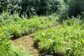 Marais des Lochères 