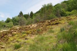 Marais de Saint-Germain-le-Rocheux