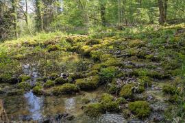 Travertins © Aurélie Wahl