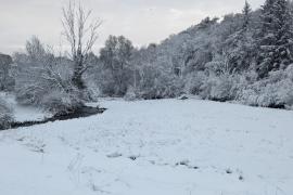 Aujon © Aurélie Wahl