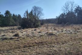 Pelouse_Sources_Suize