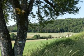 Sur le sentier de la butte de Taloison