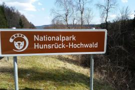 Hunsrück-Hochwald National Park