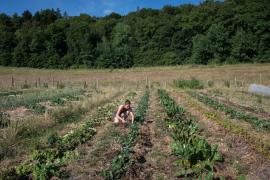 Photo : Céline Lecomte - OFB