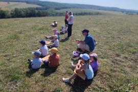 prairies
