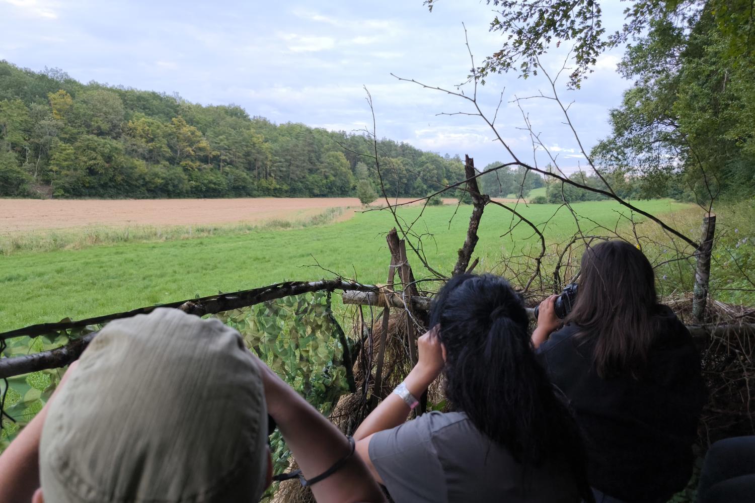 Des personnes observent des chevreuils dans des jumelles au crépuscule