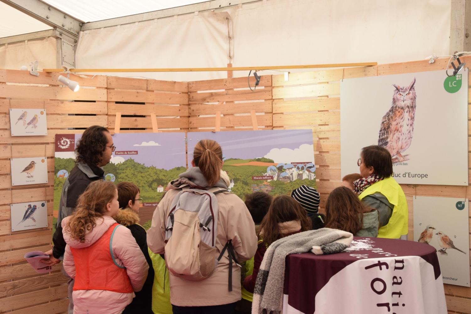 © Tristan Hambacher