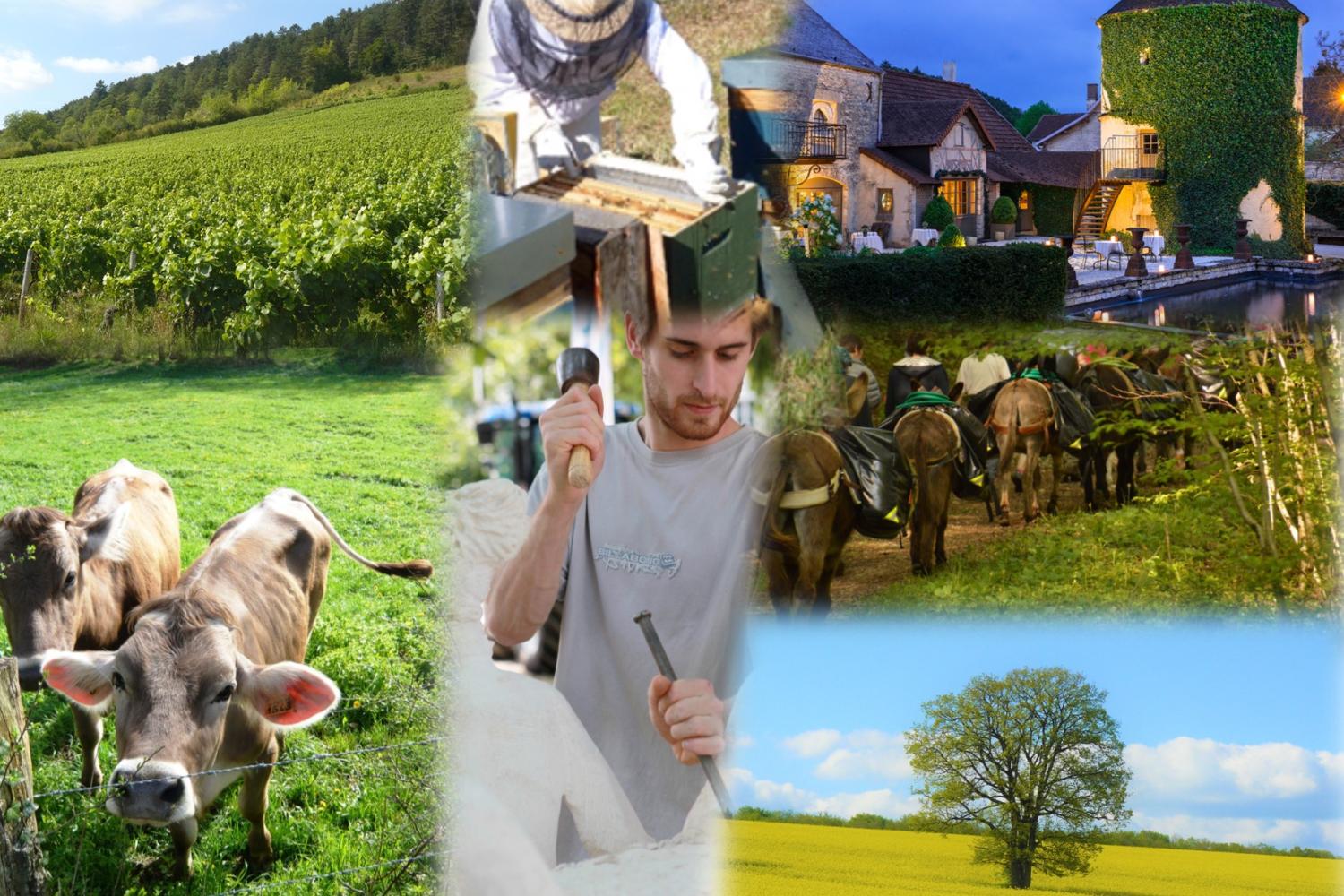 ensemble_photo_site_internet_marque_epn.jpg