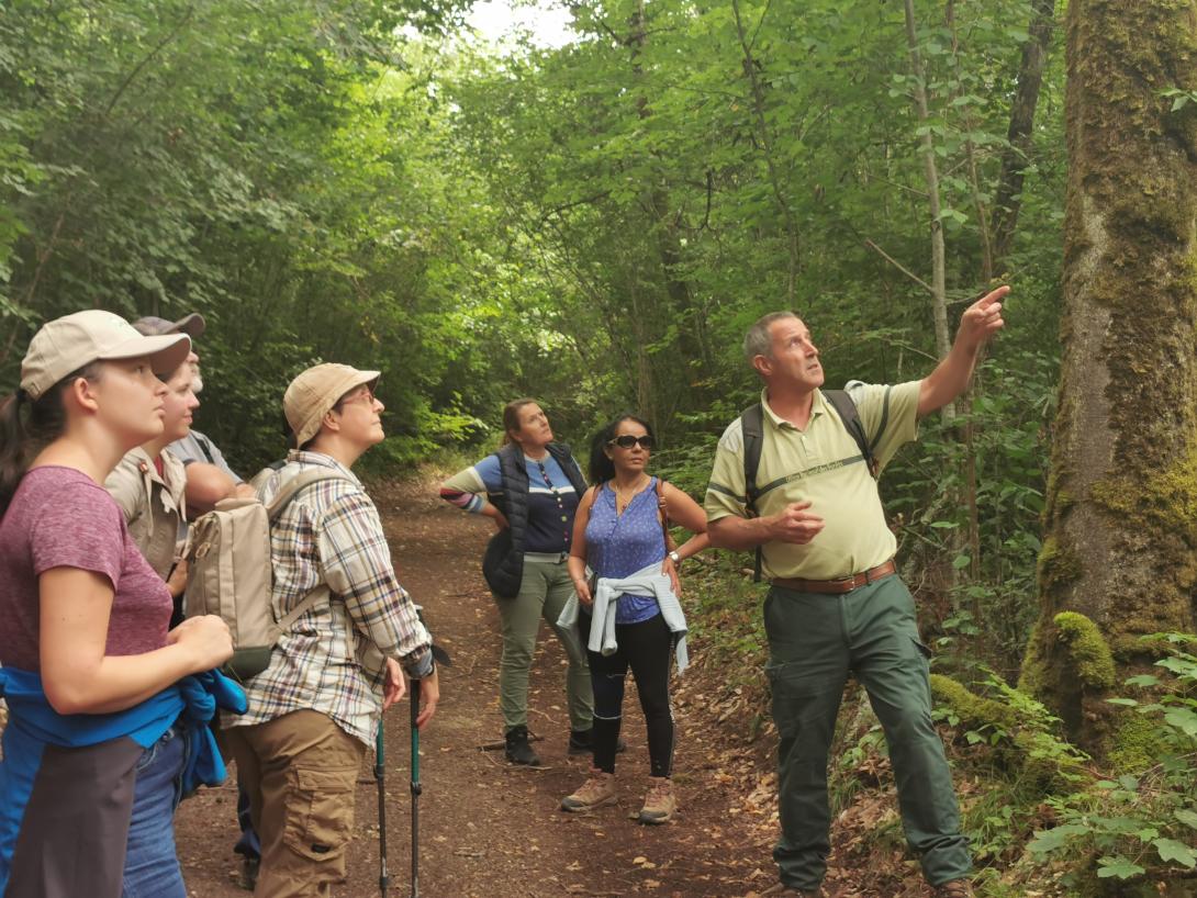 forest discovery tour