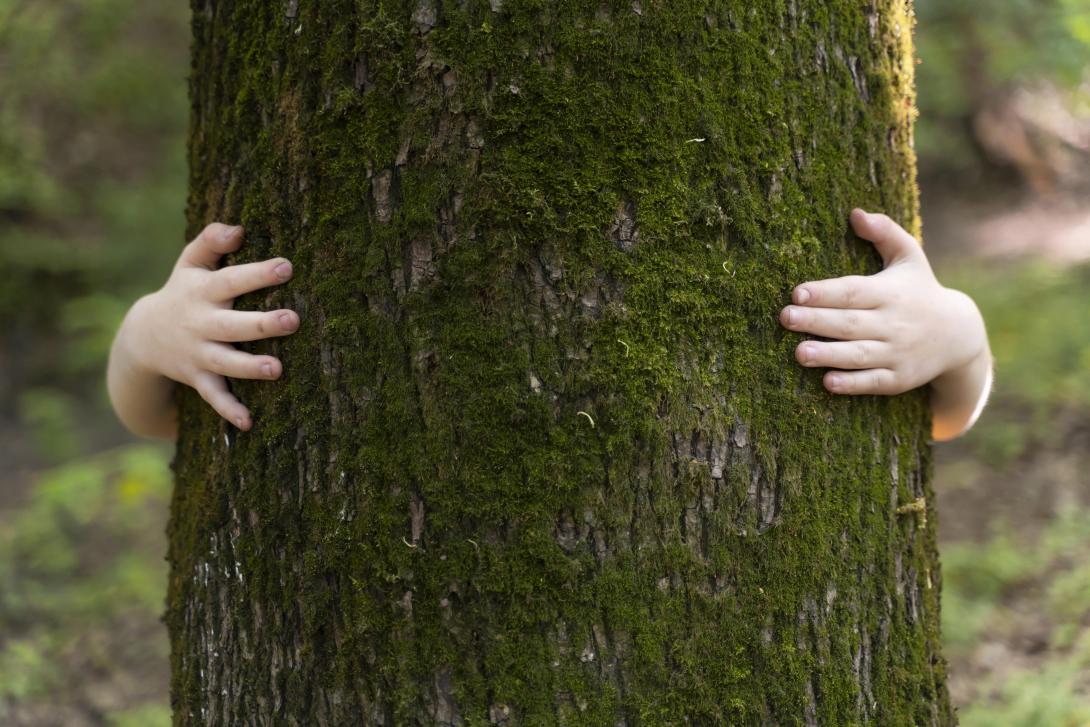 enfant arbre