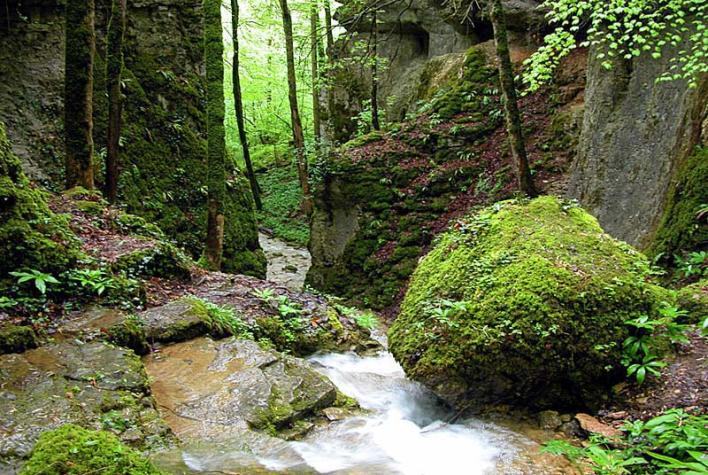 Jean-Francois Feutriez