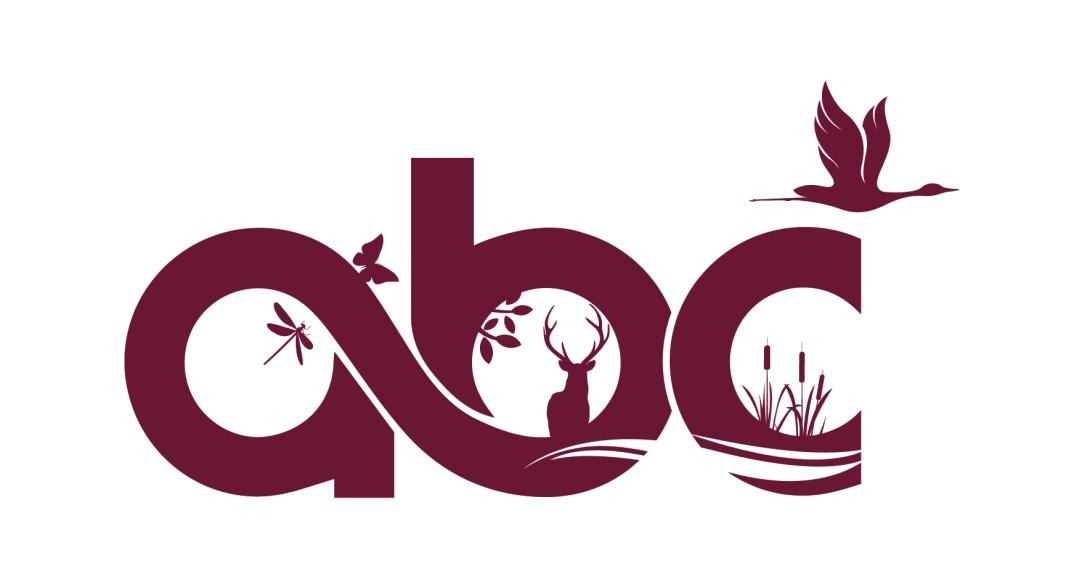logo_abc_quadri_abc.jpg